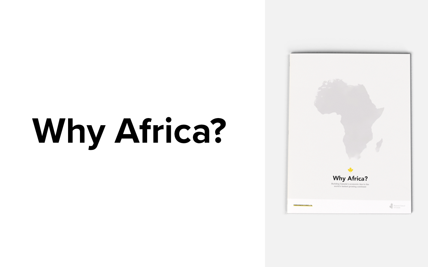 Why Africa - Report